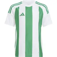 Adidas T-Shirt fonctionnel vert / blanc
