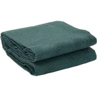 vidaXL Tapis de tente vert 5x3 m
