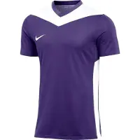 Nike T-Shirt fonctionnel violet / blanc