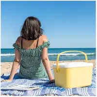 InnovaGoods Tragbar Starr Kühler Lilty 15 L
