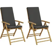 vidaXL Chaises de jardin Pliables Réglables 2 pcs. avec coussins Bambou