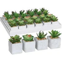 Mica Decorations Succulentes (8 cm)