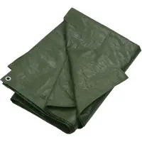 vidaXL -Gerät Segel 180 g m² 3x5 M HDPE -Grün