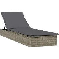 vidaXL Bain de soleil 1 pièce avec support Gris 201x55x62 cm Poly rotin