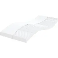vidaXL Matelas en mousse 2 pcs. 100x200 cm 7 zones dureté 20 ILD