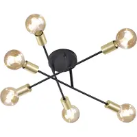 TRIO Leuchten - Plafonnier industriel moderne noir avec laiton 6 lampes - Sydney | salon | chambre | cuisine - acier autre - convient aux LED E27