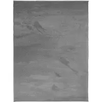 vidaXL Tapis OVIEDO à poils courts anthracite 240x340 cm