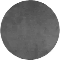 vidaXL Tapis OVIEDO à poils courts anthracite Ø 200 cm