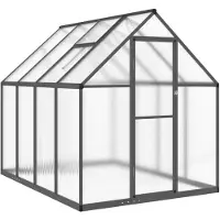 vidaXL Serre avec cadre de fondation Anthracite 224x169x195 cm Alu