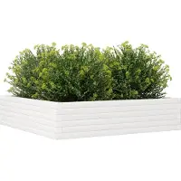 vidaXL Jardinière blanc 100x100x23 cm bois de pin massif