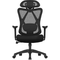OEM SONGMICS OBN063B01 Chaise de bureau Chaise de bureau ergonomique Chaise d'ordinateur Chaise en maille Soutien lombaire et appui-tête réglables 150kg Hauteur réglable