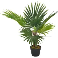 vidaXL Plante artificielle avec pot Palmier Vert 70 cm