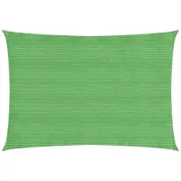vidaXL Voile d'ombrage 160 g/m² Vert clair 4x6 m PEHD