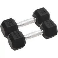 vidaXL Haltères courts 2 pièces de 12 kg en fonte