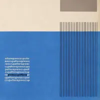 Ginza.se Preoccupations - Preoccupations [Vinyl]