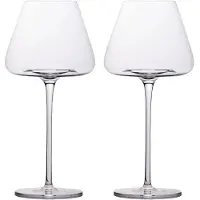 Intirilife 2x verre à vin au design moderne - 600 ml de contenance - vin blanc verre à vin rouge calice résistant au lave-vaisselle verre cristal antichoc
