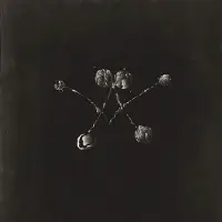 Konkurrent Waterstrider - Nowhere Now [Vinyl] Download Insert