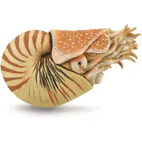 Collecta Nautilus Pompilius - (XL)