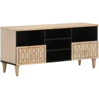 vidaXL Armoire TV 100x33x46 cm en bois massif de manguier