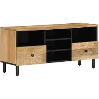vidaXL Armoire TV 100x33x46 cm en bois massif de manguier