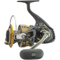 Daiwa Moulinet Spinning Black Gold
