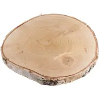 Rayher Hobby Materialen Tranche de bouleau, 25-28cm ø