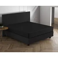Dreamhouse Drap-housse double en jersey - 160/180x200/220 - Noir - Agréable et doux