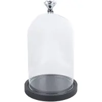Clayre Eef 6GL2544 Cloche en verre Transparent 14x25 cm