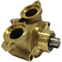 Johnson Pump Pompe à impulseur en bronze auto-amorçante pour eau de refroidissement F5b-9 (Volvo Penta)
