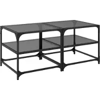 vidaXL Tables basses avec plateaux en verre 2 pcs. noir 50x50x45 cm acier