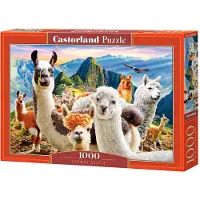 Castorland Puzzle Selfie de Lamas - 1000 pièces