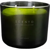 Scento Signature Collection Fizyy Citrus PETITE BOUGIE 325 G