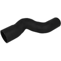 THERMOTEC Tuyau d'admission, alimentation d'air DCG009TT