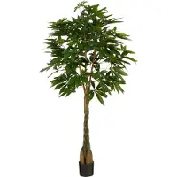 Mica Decorations Pachira plante artificielle en pot H150