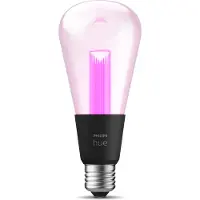 Philips Hue Lightguide Edison White and Color E27