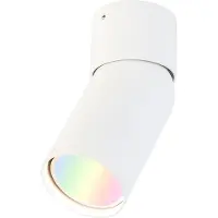 QAZQA Spot intelligent blanc réglable avec Wifi GU10 - Falo