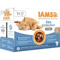 IAMS 48x85g Delights Adult lot mixte Mer en gelée nourriture humide pour chat