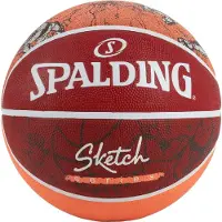 Spalding 7