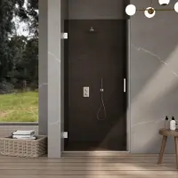 FortiFura Galeria Porte de douche - 60x200cm - charnières - poignée - plat - verre Fumé - Inox brossé SW1122555/SW1122566