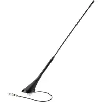 ACV Antenne de toit AM/FM inclinaison 56 DIN(m) passive