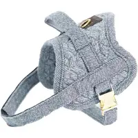 Kentucky Harnais Pour Chien Body Safe