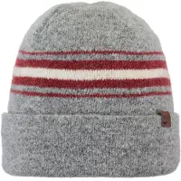 Barts Vinter Beanie Gris