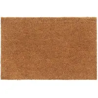 vidaXL Tapis de porte naturel 65x100 cm fibre de coco touffeté