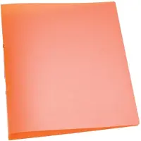 Q-CONNECT Classeur à anneaux givré (A4, 23 mm, 1 pcs)