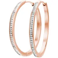 Lucardi Boucles d'oreilles or rose / transparent