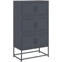 vidaXL Sideboard Anthracite 68,5x38,5x123,5 cm Acier