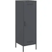 vidaXL Highboard Anthracite 36x39x113 cm Acier
