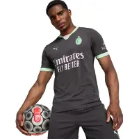 Puma Maillot 'AC Milan 24/25' gris / menthe / blanc