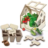 SES Creative - Explorer - Mini serre av. Planter des graines - - UneTaille - Set de Création
