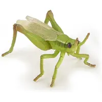 Papo Figurine - peinte la main - Royaume des animaux sauvages - Sauterelle - 50268 - Objet de collection - Pour enfants - Convient aux gar ons